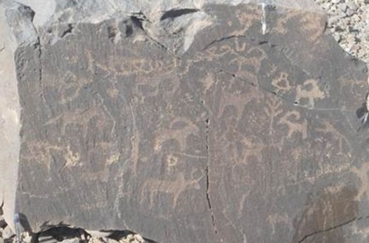 شناسایی محوطه تاریخی ۵۰۰۰ ساله در نهبندان