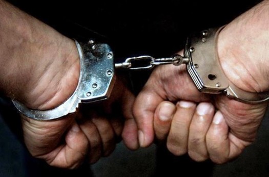 دستگیری سارق سابقه‌دار در شهرستان «زیرکوه»