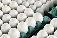یک هزار و ۹۳ تن تخم مرغ از خراسان جنوبی صادر شد