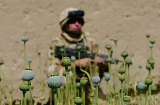 حضور آمریکا در افغانستان باعث افزایش تولید مواد مخدر شده است
