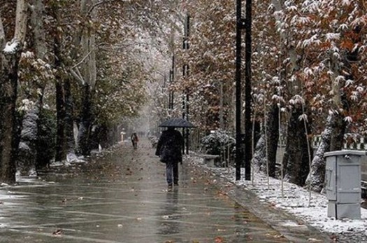 «فتح‌آباد» فردوس رکورددار بارندگی‌ها در خراسان‌جنوبی/ هوا سرد می‌شود