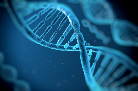 ژن درمانی؛ روشی نوین برای ‏درمان سرطان