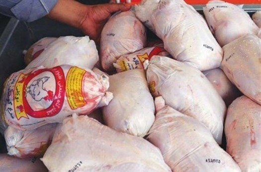 ۹۶۵ تن مرغ منجمد از مرغداران خراسان جنوبی خریداری شد