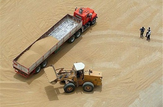 ۱۵ هزار تن گندم از کشاورزان در خراسان جنوبی خرید تضمینی می‌شود