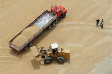 ۱۵ هزار تن گندم از کشاورزان در خراسان جنوبی خرید تضمینی می‌شود