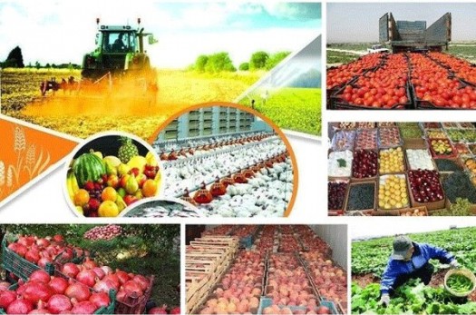 51 مرکز خدمات کشاورزی در روستاهای خراسان جنوبی ایجاد می شود