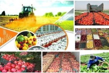 51 مرکز خدمات کشاورزی در روستاهای خراسان جنوبی ایجاد می شود