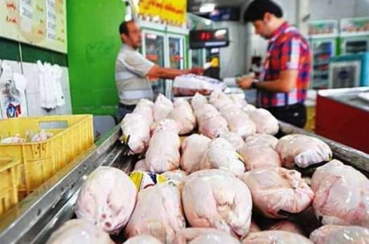 پرواز قیمت مرغ بر بام گرانی‌های بازار بیرجند/افزایش قیمت‌ها در قطب تولید مرغ کشور
