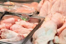 150 تن گوشت مرغ منجمد در خراسان‌جنوبی توزیع می‌شود