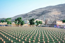 گره‌گشایی با «ایران همدل» همزمان با عید غدیر/ برگزاری رزمایش «ایران همدل» در خراسان‌جنوبی