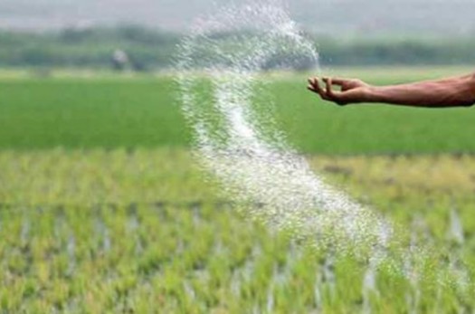 اعتراض کشاورزان خراسان‌جنوبی به توزیع نامناسب کود شیمیایی| جهاد کشاورزی: کمبودی وجود ندارد