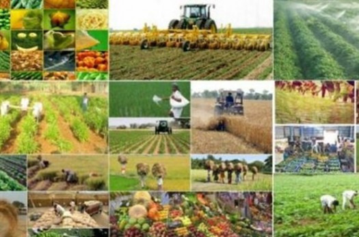 ابلاغ ۲۰۰ میلیارد تومان تسهیلات طرح‌های تولیدی کشاورزی