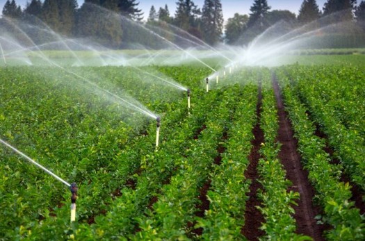 ضرورت مدیریت مصرف آب بخش کشاورزی/اضافه برداشت ۱۰۰ میلیون متر مکعب